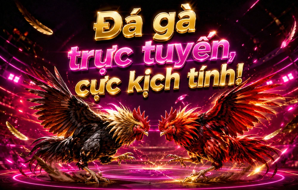 Hỏi đáp thực tế về Cẩm nang thương hiệu dành cho người mới
